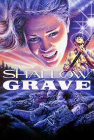 Shallow Grave - Reise in die Hölle ([xfvalue_year limit=