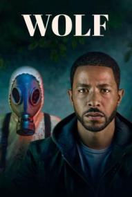 Wolf - Staffel 1