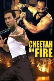 Cheetah on Fire ([xfvalue_year limit=