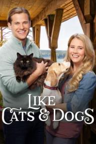 Zwei wie Hund und Katz' ([xfvalue_year limit=