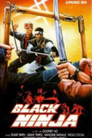 Ninja Silent Assassin ([xfvalue_year limit=