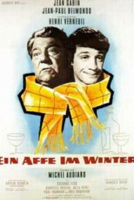 Ein Affe im Winter ([xfvalue_year limit=