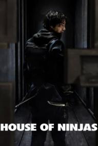 House of Ninjas - Staffel 1 ([xfvalue_year limit=