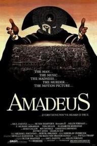 Pik & Amadeus – Freunde wider Willen