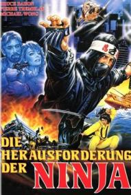 Die Herausforderung der Ninja ([xfvalue_year limit=