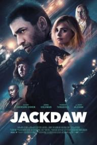 Jackdaw ([xfvalue_year limit=