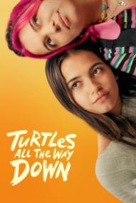 Turtles All the Way Down ([xfvalue_year limit=