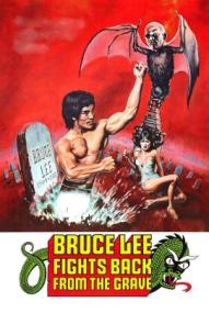 Bruce Lee - Noch aus dem Grab schlage ich zurück ([xfvalue_year limit=