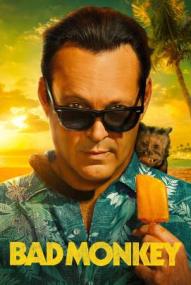 Carl Hiaasen's Bad Monkey - Staffel 1 ([xfvalue_year limit=