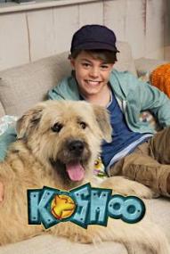 Kosmoo - Staffel 1 ([xfvalue_year limit=