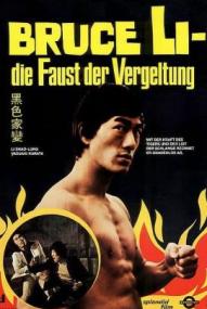 Bruce Li - Die Faust der Vergeltung ([xfvalue_year limit=