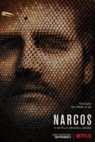 Narcos - Staffel 2 ([xfvalue_year limit=