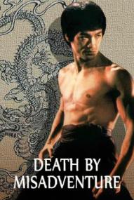 Death by Misadventure: The Mysterious Life of Bruce Lee ([xfvalue_year limit=