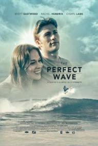 Die perfekte Welle ([xfvalue_year limit=