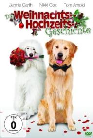 Die Weihnachts-Hochzeits-Geschichte ([xfvalue_year limit=