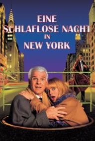 Schlaflos in New York ([xfvalue_year limit=