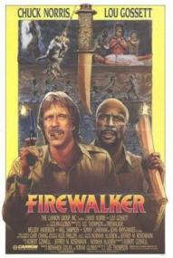 Feuerwalze ([xfvalue_year limit=