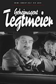 Geheimagent Tegtmeier - Staffel 1 ([xfvalue_year limit=