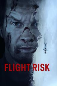 Flight Risk ([xfvalue_year limit=