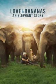 Love & Bananas: An Elephant Story ([xfvalue_year limit=
