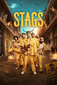 Stags - Staffel 1 ([xfvalue_year limit=