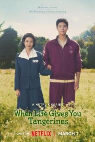 When Life Gives You Tangerines - Staffel 1 ([xfvalue_year limit=