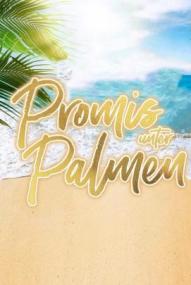Promis unter Palmen - Für Geld mache ich alles! - Staffel 3 ([xfvalue_year limit=