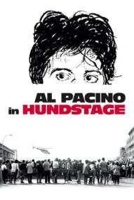 Hundstage ([xfvalue_year limit=