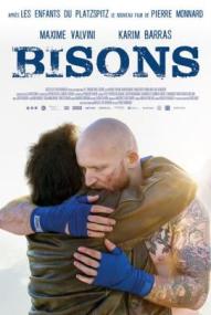 Bisons ([xfvalue_year limit=
