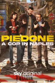 Plattfuss – Ein Cop in Neapel - Staffel 1 ([xfvalue_year limit=