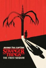 Hinter den Kulissen von Stranger Things: The First Shadow ([xfvalue_year limit=