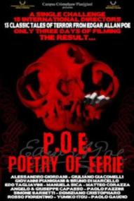 Edgar Allan Poe - Geschichten des Wahnsinns