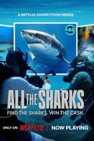 All the Sharks - Staffel 1 ([xfvalue_year limit=