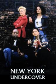 New York Undercover - Staffel 4
