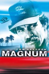 Magnum - Staffel 8
