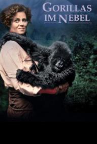 Gorillas im Nebel ([xfvalue_year limit=