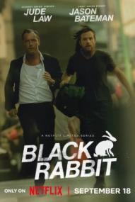 Black Rabbit - Staffel 1 ([xfvalue_year limit=