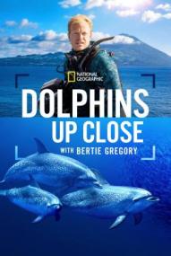 Delfine Hautnah mit Bertie Gregory