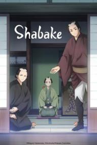 Shabake - Staffel 1 *Subbed* ([xfvalue_year limit=
