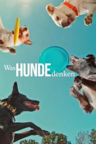 Was Hunde denken ([xfvalue_year limit=