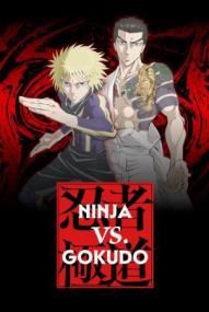 Ninja Vs. Gokudo - Staffel 1 ([xfvalue_year limit=