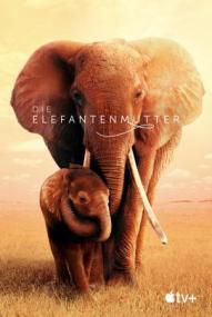 Die Elefantenmutter ([xfvalue_year limit=