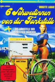 Sechs Schwedinnen von der Tankstelle (1980)