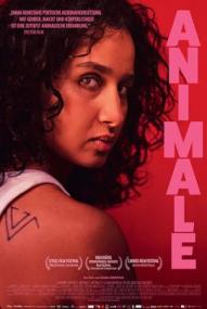 Animale ([xfvalue_year limit=