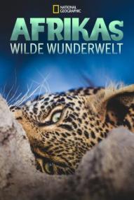 Afrikas wilde Wunderwelt - Staffel 1 ([xfvalue_year limit=