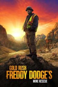 Goldrausch: Einsatz für Freddy Dodge - Staffel 5 ([xfvalue_year limit=