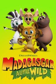 Madagascar: A Little Wild - Staffel 1 ([xfvalue_year limit=