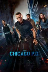 Chicago P.D. - Staffel 12