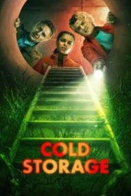 Cold Storage ([xfvalue_year limit=
