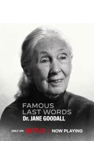 Famous Last Words - Staffel 1 *English* ([xfvalue_year limit=